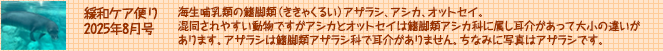 ¥ؤ 8